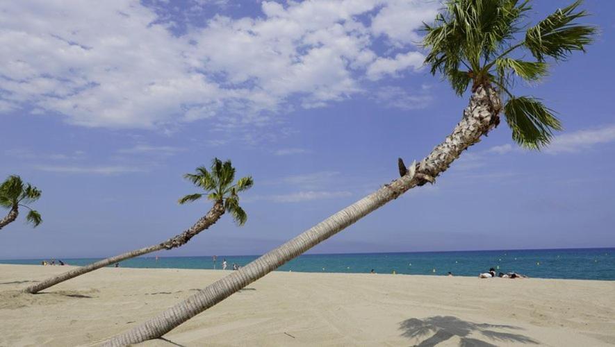 فيلا Maison Plein Pied Proximite Plage Et Commerce - 5Sir33 Le Barcarès المظهر الخارجي الصورة